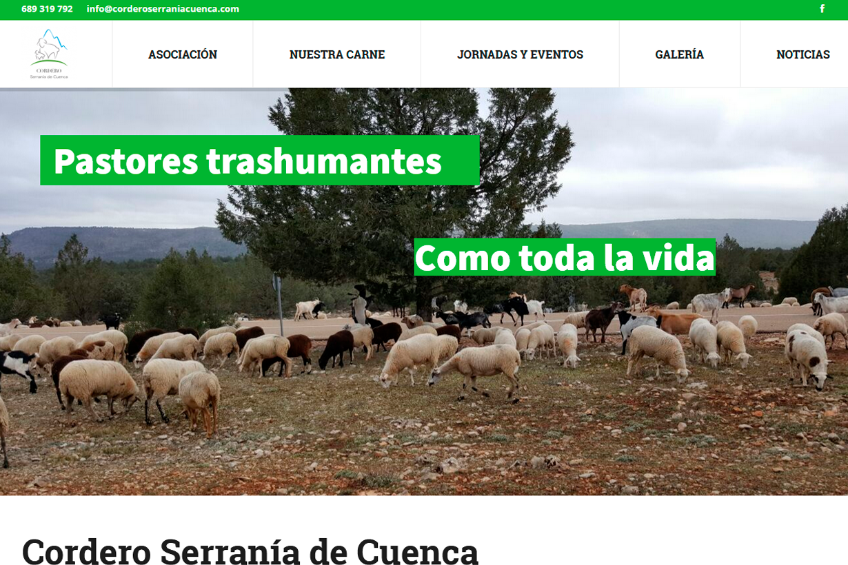 cordero serrania de cuenca Agencia de marketing cordero serrania de cuenca