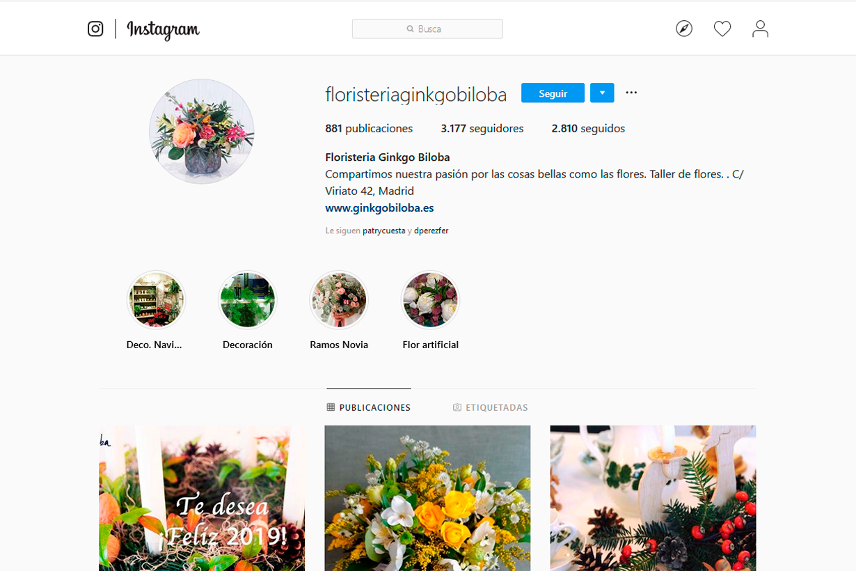 floristeria ginkgo biloba Agencia de marketing online Ginkgo Biloba